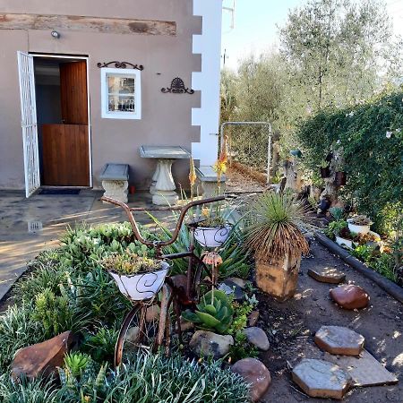 Carmel Villa B&B Or Self-Catering Calvinia Exterior foto